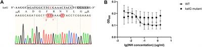 Programmable Base Editing in Mycobacterium tuberculosis Using an Engineered CRISPR RNA-Guided Cytidine Deaminase